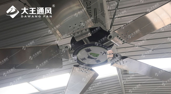 百世某分拣中心大型工业吊扇