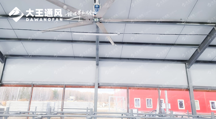 大王通风助力俄罗斯牛场畜牧养殖