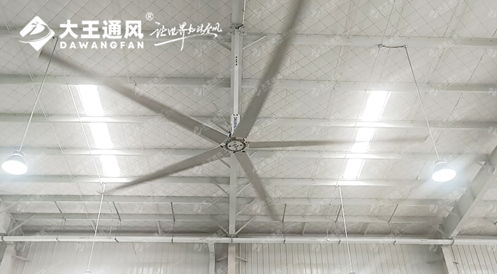 大王通风携手维通利电气：告别炎热困扰，释放清凉一夏！