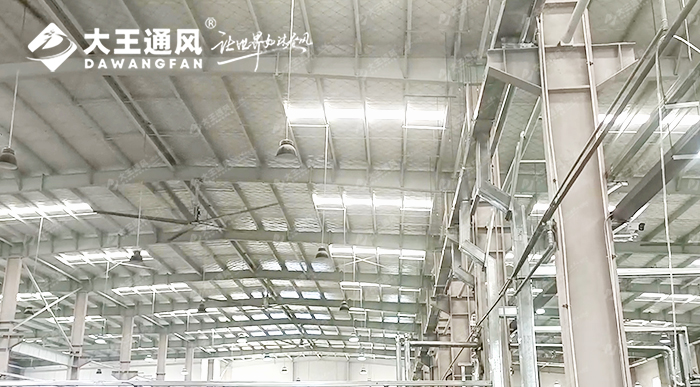 大王通风携手维通利电气：告别炎热困扰，释放清凉一夏！