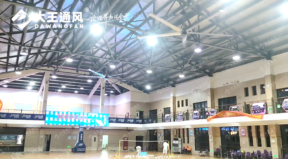 大王风扇亮相锦天体育，打造舒适运动环境，运动达人热荐！！！