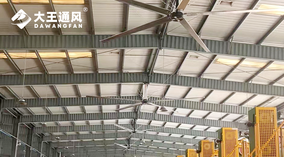 大王安全工业大风扇：除湿与降温的双重守护者