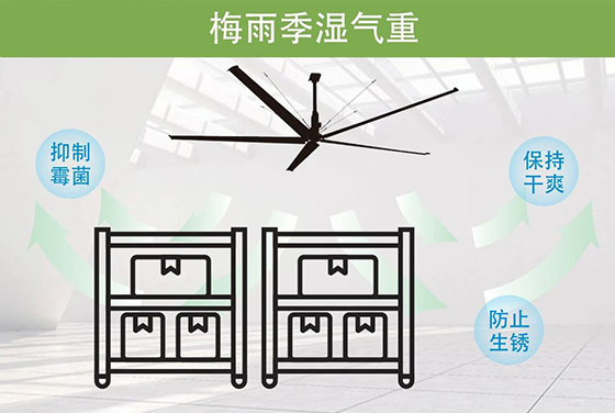 梅雨季防潮 | 大王通风HVLS解决方案