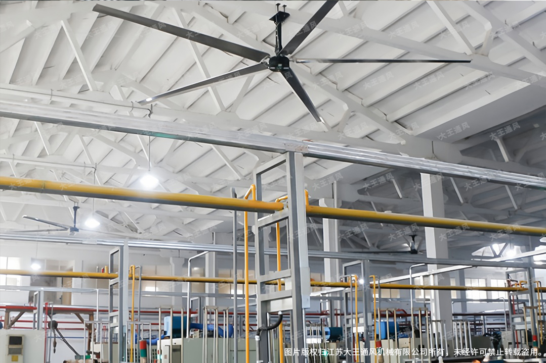 1772419819214227.jpg 22.jpg